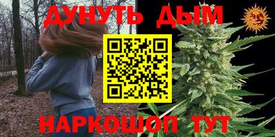 прущие грибы Апшеронск