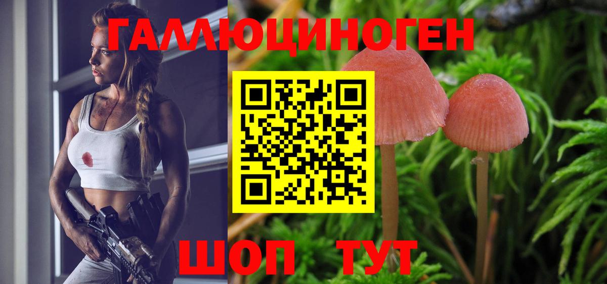 Белореченск  Галлюциногенные грибы мухоморы  Вход с VPN 